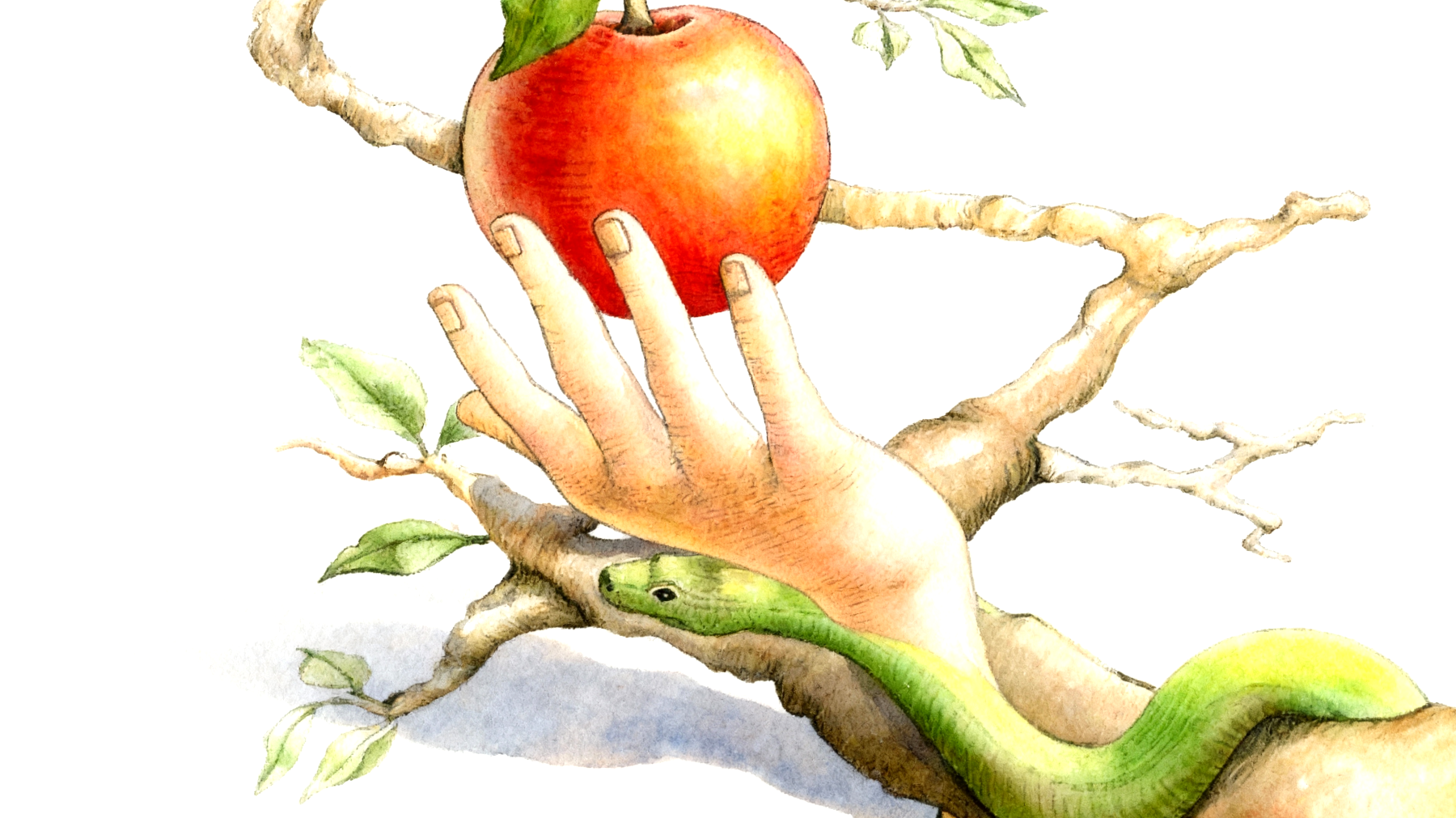 Forbidden Fruit2025-11-13T07:08:42.319Z"